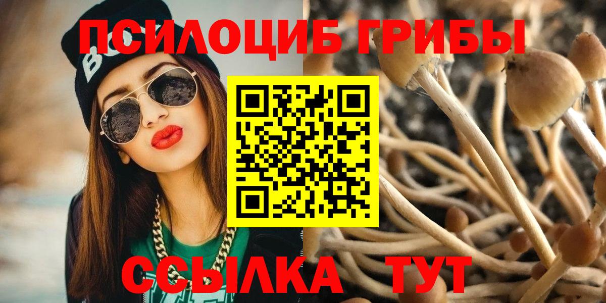 Галлюциногенные грибы Psilocybine cubensis  Вход с VPN  Мичуринск 